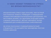 изображение 2307