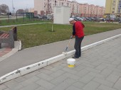 изображение 2350