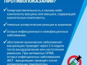 изображение 2436