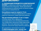 изображение 2438