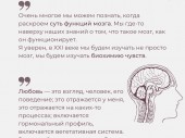 изображение 3050