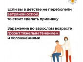 изображение 4102