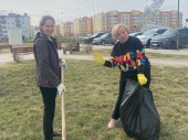изображение 5334