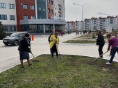 изображение 5338