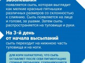 изображение 5360