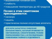изображение 5363