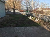 изображение 5425