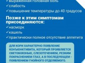изображение 5512