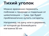 изображение 5516
