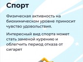 изображение 5520