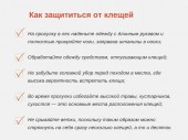 изображение 5532