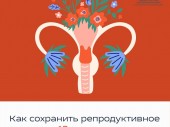 изображение 6070