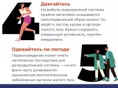 изображение 6074
