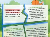 изображение 6322