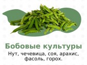 изображение 6649