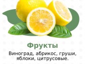 изображение 6650