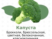 изображение 6651