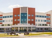 изображение 7035