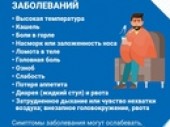 изображение 7158