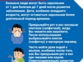 изображение 7161