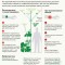 Как оказать помощь при контакте с борщевиком Сосновского.