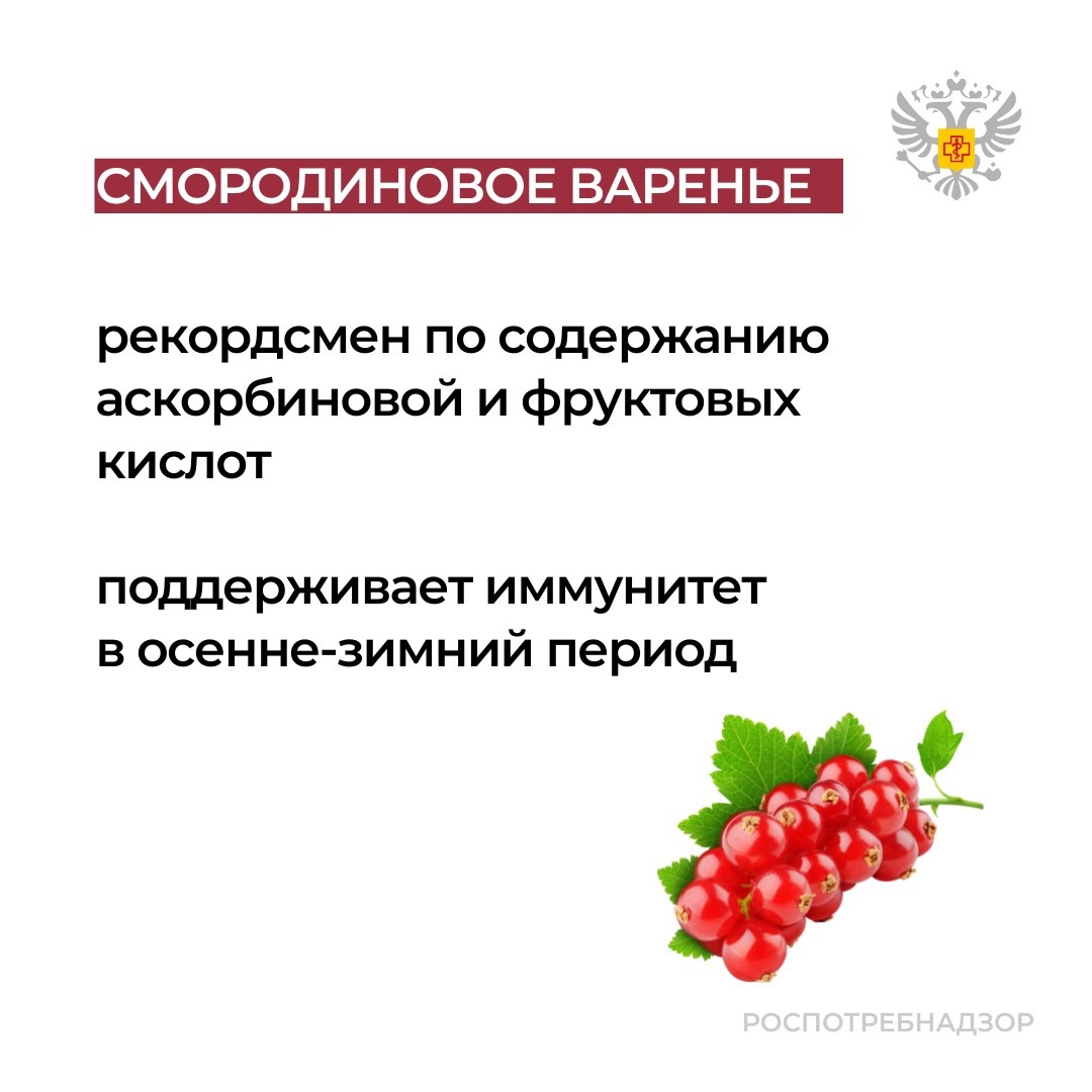 Горьковатый привкус калины смягчается когда ягоды прихватит мороз схема