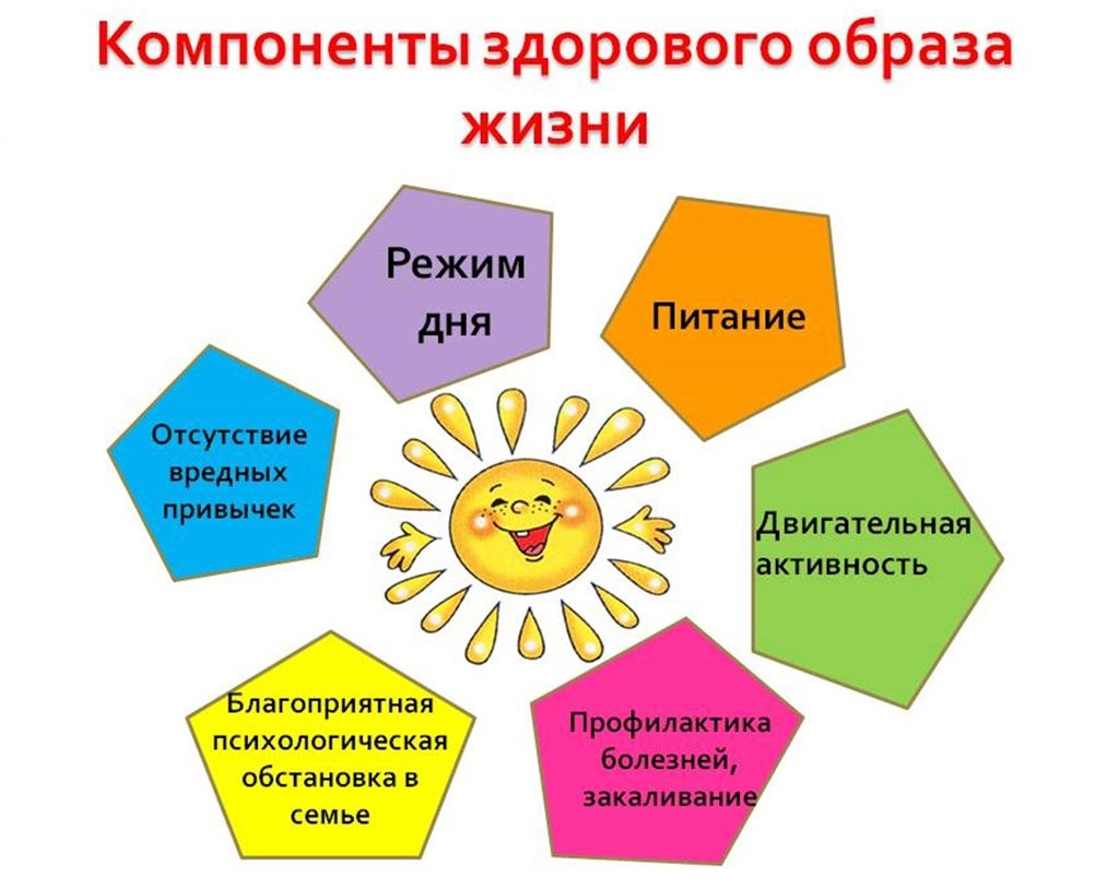 Здоровье человека и образ жизни проект